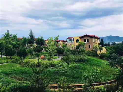 沐鸣娱乐地址