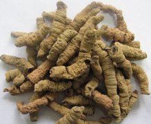 巴戟天泡水喝的功效沐鸣总代理
